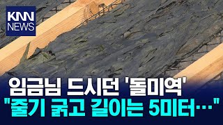 600년 전통 그대로 채취, 견내량 돌미역 수확 현장 / KNN