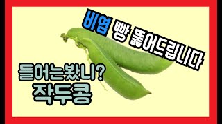 [작두콩] 알레르기비염 작두콩차로 뽑아봅시다!!! 약사가 알려주는 놀라운 효능