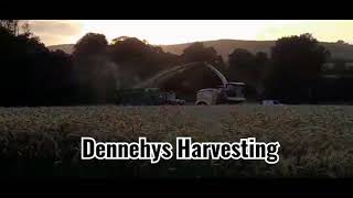 Dennehys Harvesting Wheat Barley in Kilcolman, Co. Limerick  | STAAC