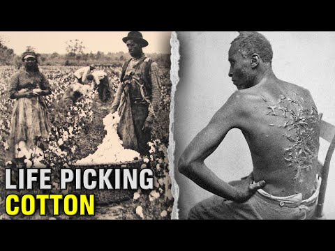 What did slaves do in the South?