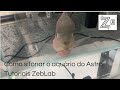 Laboratório ZebLab Tutoriais- Como sifonar o aquário do Peixe Astro???