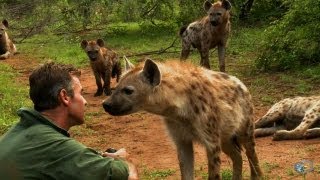 Kim Wolhuter: Maverick Wildlife Filmmaker