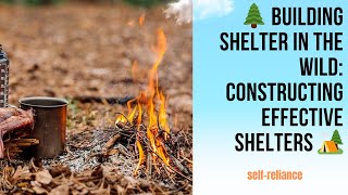 🌲 Building Shelter in the Wild: Constructing Effective Shelters 🏕️