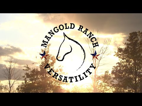 Mangold Ranch Versatility --- WNY EquiFest 2018 Mangold Ranch Versatility --- WNY EquiFest 2018