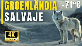 El Desafío de Sobrevivir en el Reino de Hielo | Documental Animal