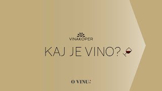 Kako nastane vino ? 1. del