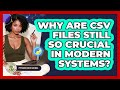 Why Are CSV Files Still So Crucial In Modern Systems? - Python Code School