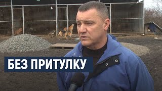 У Хмельницькому призупинили будівництво притулку для тварин