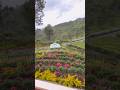 5000 Sq.ft Bungalow For Sale In Kotagiri ,Ooty 📞9500770333 | 5 Cr Part -2 #ooty #kotagiri #shorts