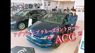 【VW川越】使ってますか！？ACC！！