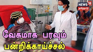 நாடு முழுவதும் வேகமாக பரவும் பன்றிக்காய்ச்சல் | 2 வாரங்களில் 49 பேர் உயிரிழந்துள்ளனர்