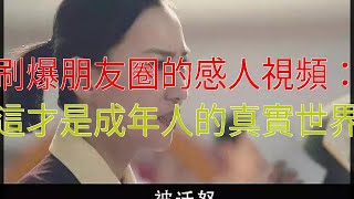 刷爆朋友圈的感人視頻：這才是成年人的真實世界