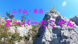 二子山東岳 スーパーたこやん