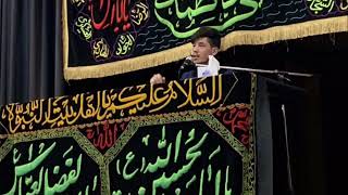 Nowha Fatemeh bia emshab 2019 Hassan Ashrafi/نوحه فاطمه بیا امشب دشت کربلا بنگر ۲۰۱۹ حسن اشرفی