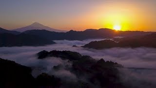 [ 4K UHD ]絶景空撮:天空の茶畑:清水吉原:雲海と富士山 Tea Pantation in the Sky:Aerial Drone shot