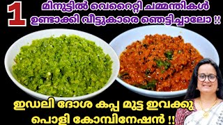 ഈ ചമ്മന്തികൾ വേറെ ലെവലാ രുചി കേമം |Chammanthi Recipe Malayalam |Chutney Recipe |Variety Chutney