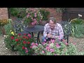 how to over winter your geraniums with david domoney