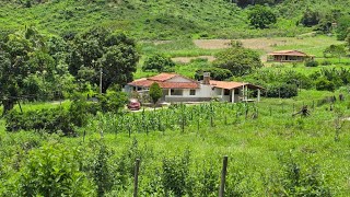 VENDO SÍTIO RANGEL / BEM LOCALIZADO / JÁ TODO PRONTO / 3.3 KM ESTRADA CHÃO DA BR116