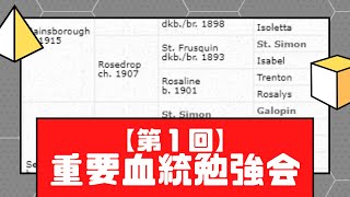 サラブレッド研究会の「重要血統勉強会」はこんな感じ！！
