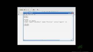 HTML Tutorial #9 - Check Boxes