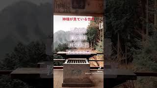 見ただけで突然願いが叶い出す動画【遠隔参拝】三峯神社⛩本編公開中！ #shorts