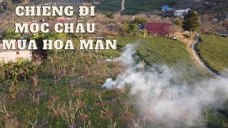 Mùa Hoa Mận Mộc Châu - Ở Bản Chiềng Đi | Hãy Đi Cùng Tôi