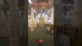 Riaz ul Jannah | Madina Short Video