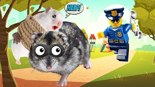 🐹 Hamster Thief Escapes Minecraft Maze! 🐹 Real Life Hamster