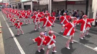 第61回よさこい祭り本祭1日目(2014/8/10)「認定こども園春野学園」