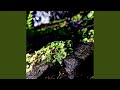 DUSK