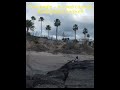 ❤️🇪🇸📍Тенерифе Вечное лето на Канарах🏝 shortsvideo travel beach tenerife spain океан