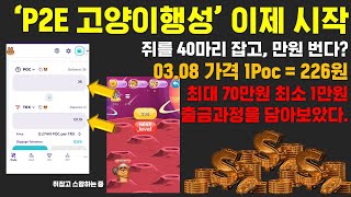 [초초극초기 P2E게임 고양이행성] 4/3 부로 추천 드리지 않습니다. 반감기 및 쥐 레벨 무통보로 상승 절대 추천 드리지 않습니다. (현재는 공지가 바뀌면 다시 전달)