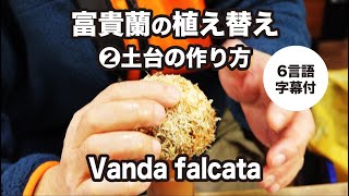 【フウラン植え替え】土台の作り方