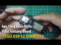 Apa Yang Anda Perlu Tahu Tentang Board TTGO ESP32 SIM800L?