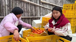 小九跟老谭去小枫家吃晚饭，难道大家有时间相聚，一起谈天说地 #我的日常vlog #优质农产品#广西小九妹 #广西 #少数民族