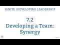 Ignite 7.2 - Developing a Team - Synergy