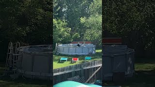 Bear Blows Bubbles in Backyard Pool || ViralHog
