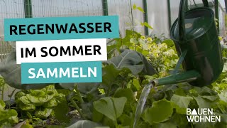 Garten Tipp: Regenwasser im Sommer sammeln