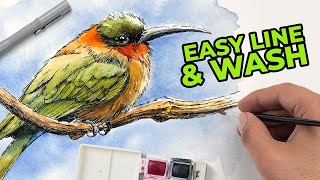 Easy Line and Wash Lesson for Beginners - Pen and Ink with Watercolor Bird