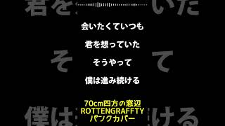 (カバー)「70cm四方の窓辺」/ROTTENGRAFFTY(演奏: 素手ドラムP)【ドラゴンボール超ED】