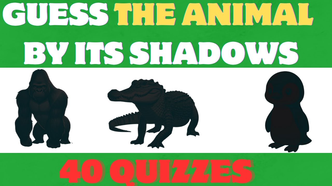 Guess The Animals By Its Shadows Youtube