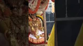 PALLAKI UTSAVAM #Sri Padmavati Ammavari Brahmotsavalu 👌👏