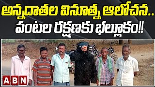 వినూత్న ఆలోచనతో పంటను కాపాడుకునేందుకు ఎలుగుబంటి వేషం...| Siddipet | ABN Telugu