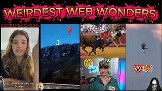 weirdest web wonders vol 164