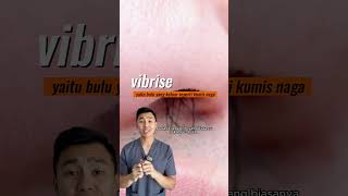 Kalau kamu sering cabut bulu hidung ga nih? #youtubehealth #dokter #viral #edukasi