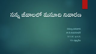 సన్న జీవాలలో మసూచి నివారణ ll డా.పి.మధుసూధన్, B.V.Sc @A.H. V D చక్ర్యాపేట