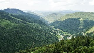 Hiking trail on Feldberg | Aerial (4K)