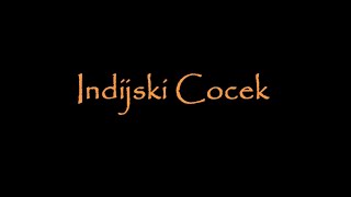 Indijski Cocek