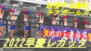 2022早慶レガッタ　応援する慶応チアガールズ