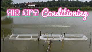 ମାଛ ଯାଂଳ ଅନୁକୂଳନ l Fish Seed Conditioning